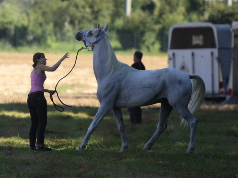 Einhell 2012 45