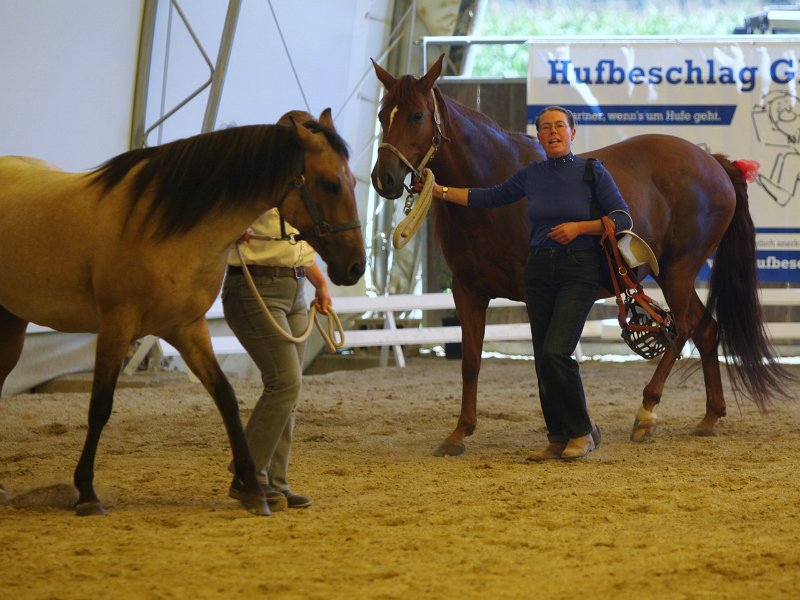 Einhell 2012 47