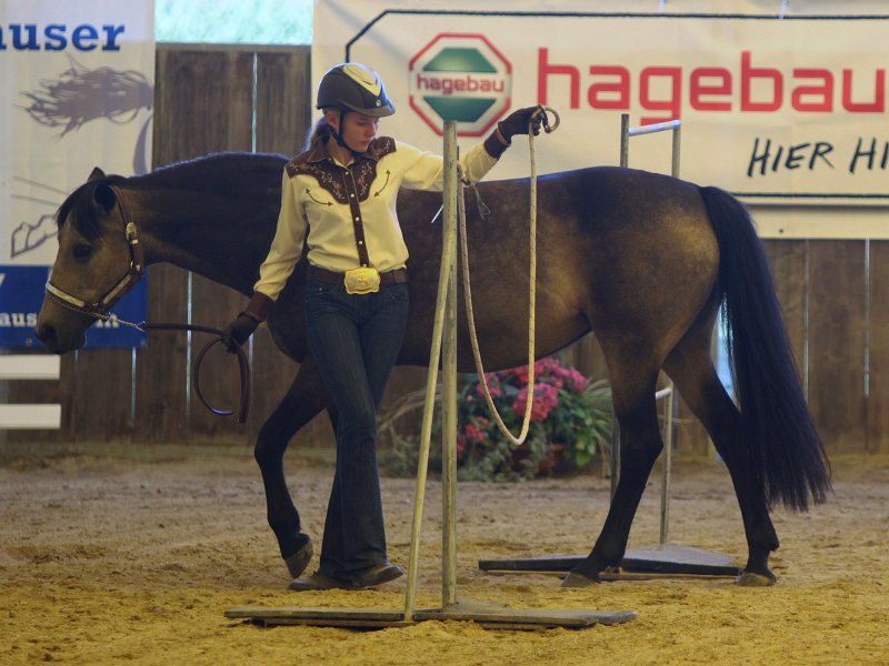 Einhell 2012 54