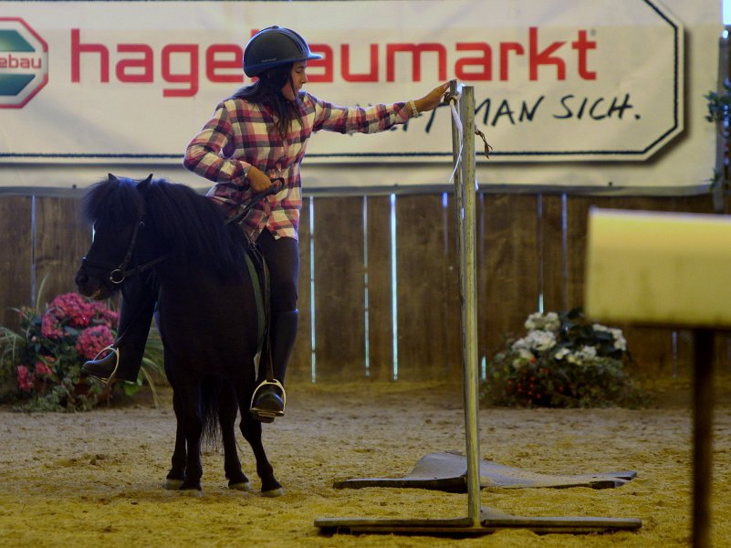 Einhell 2012 72