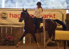 Einhell 2012 68
