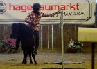 Einhell 2012 72