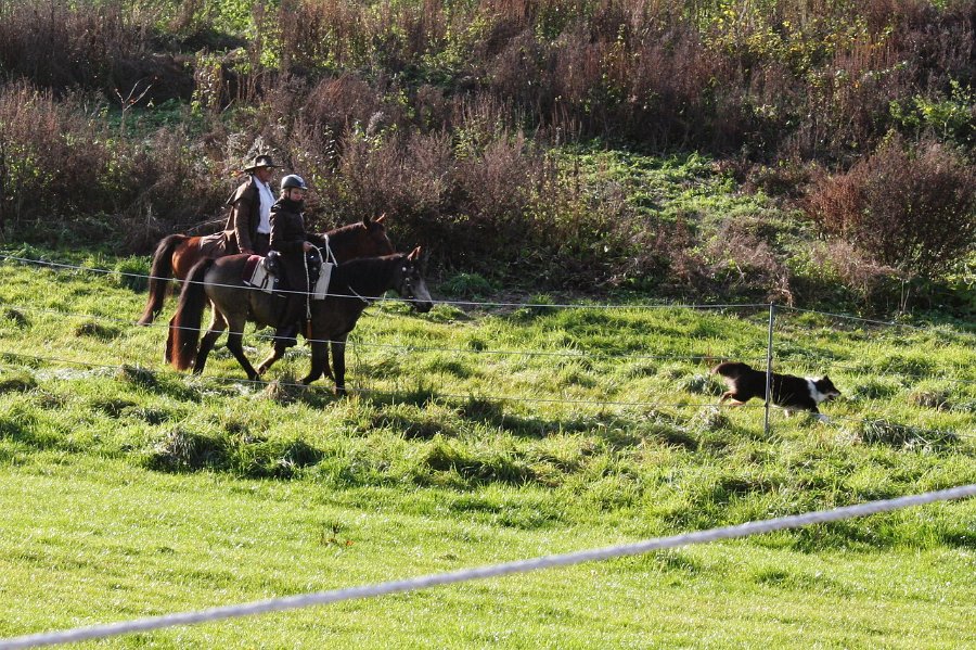 Haberskirchen 2012 01