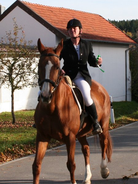 Haberskirchen 2012 08
