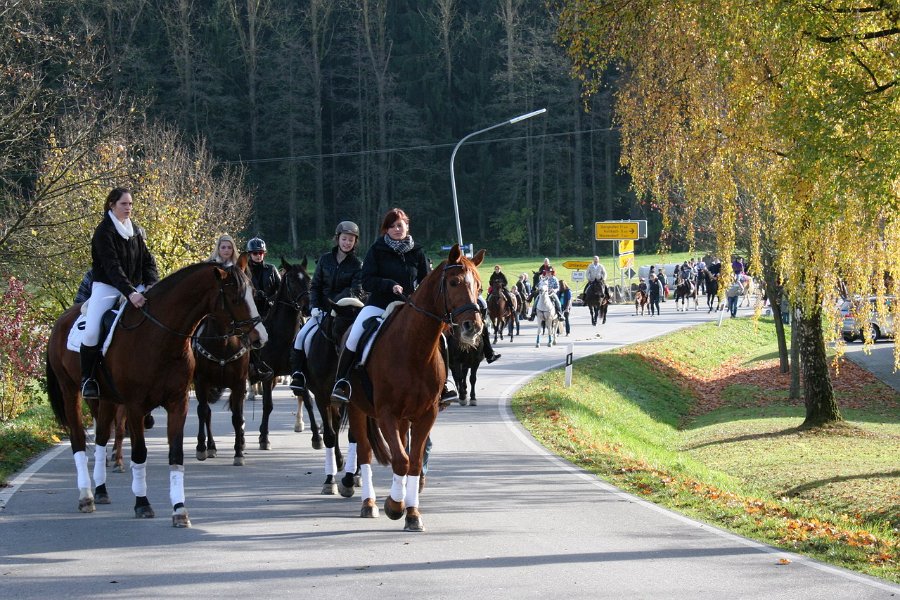 Haberskirchen 2012 33