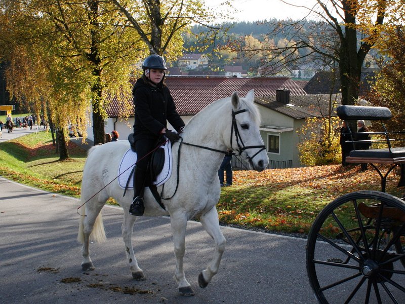 Haberskirchen 2012 34