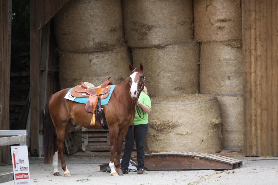 Thalmeierranch01072012 001