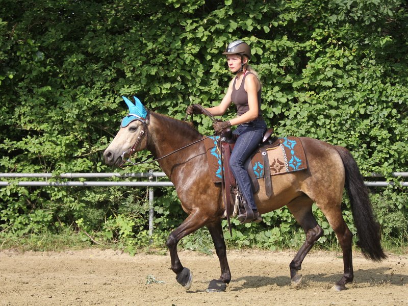 Thalmeierranch01072012 008