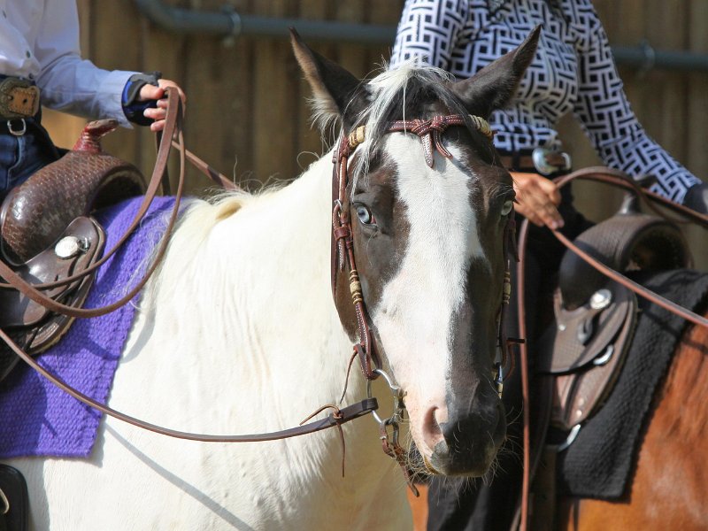 Thalmeierranch01072012 015