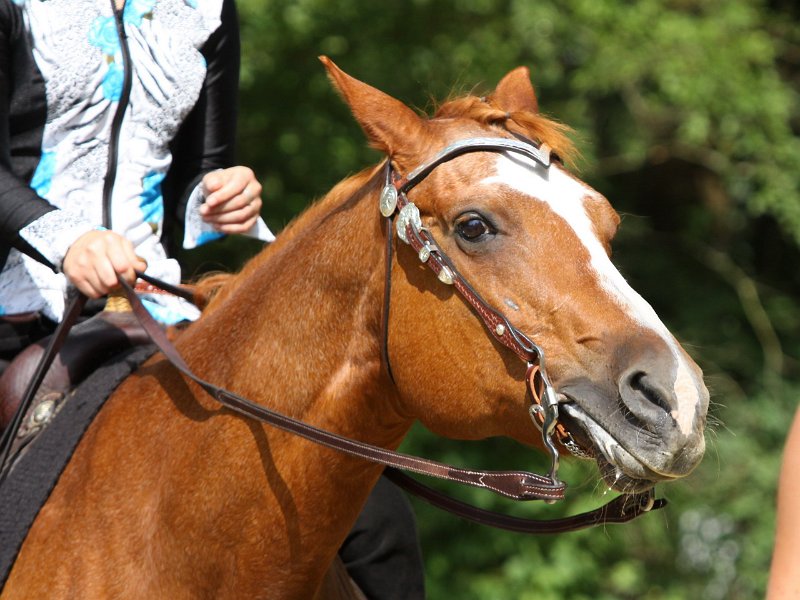 Thalmeierranch01072012 053