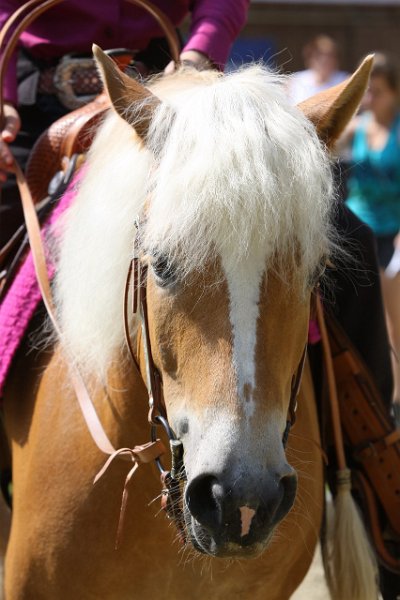 Thalmeierranch01072012 057