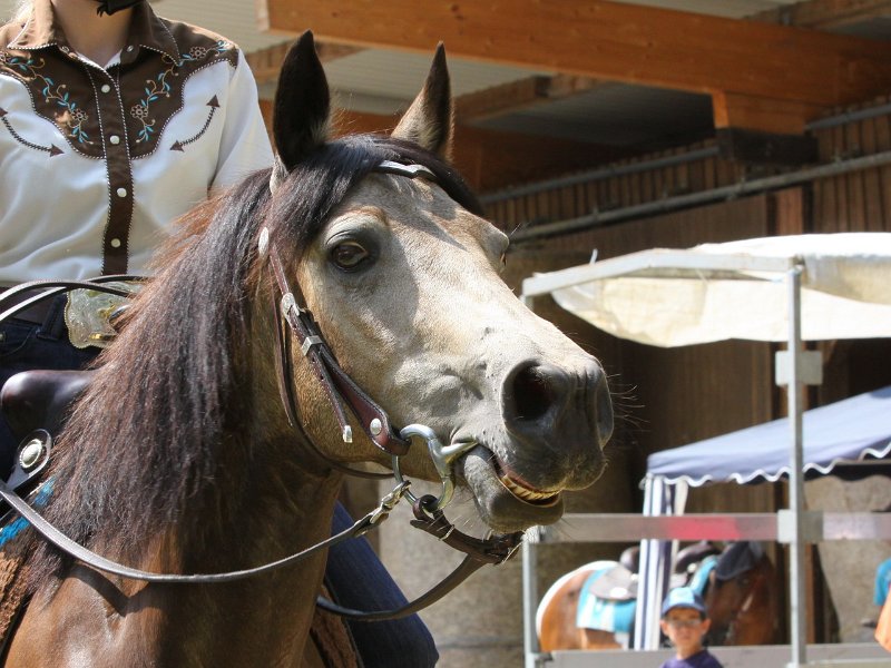 Thalmeierranch01072012 084