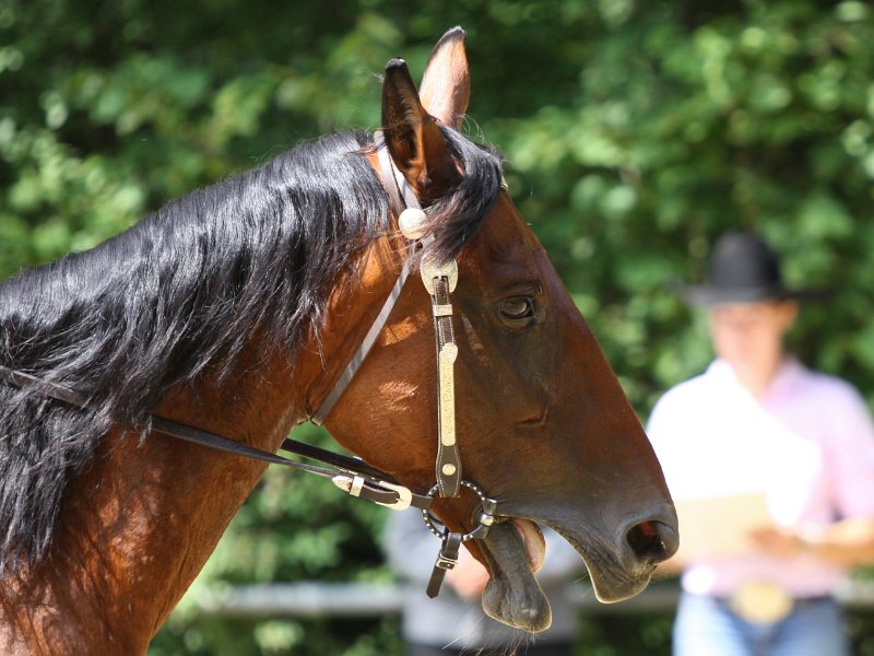 Thalmeierranch01072012 088