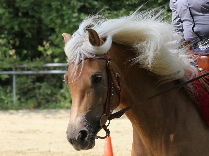 Thalmeierranch01072012 092