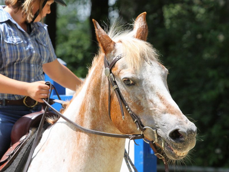 Thalmeierranch01072012 203