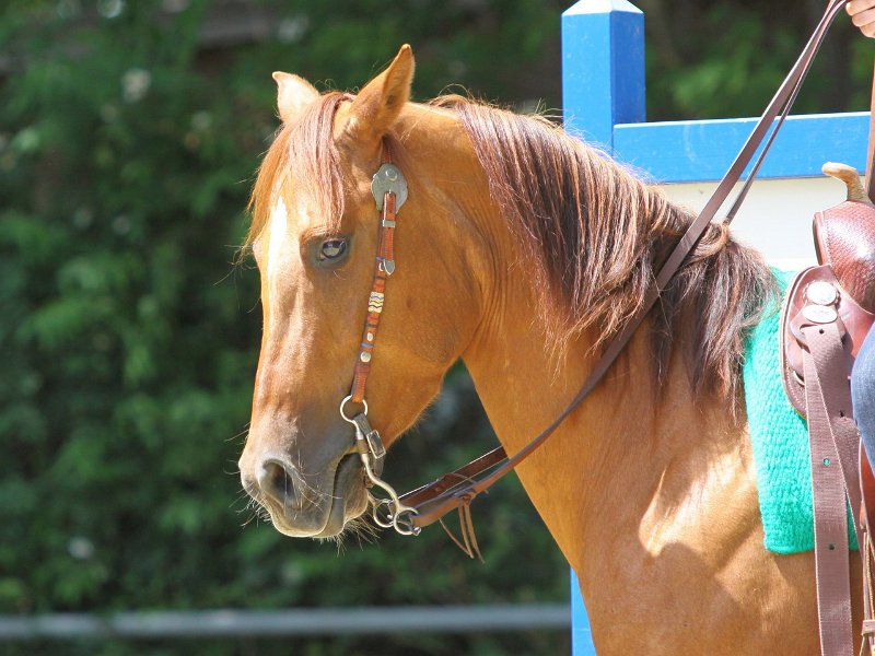 Thalmeierranch01072012 220