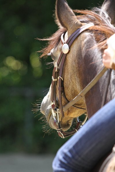 Thalmeierranch01072012 247