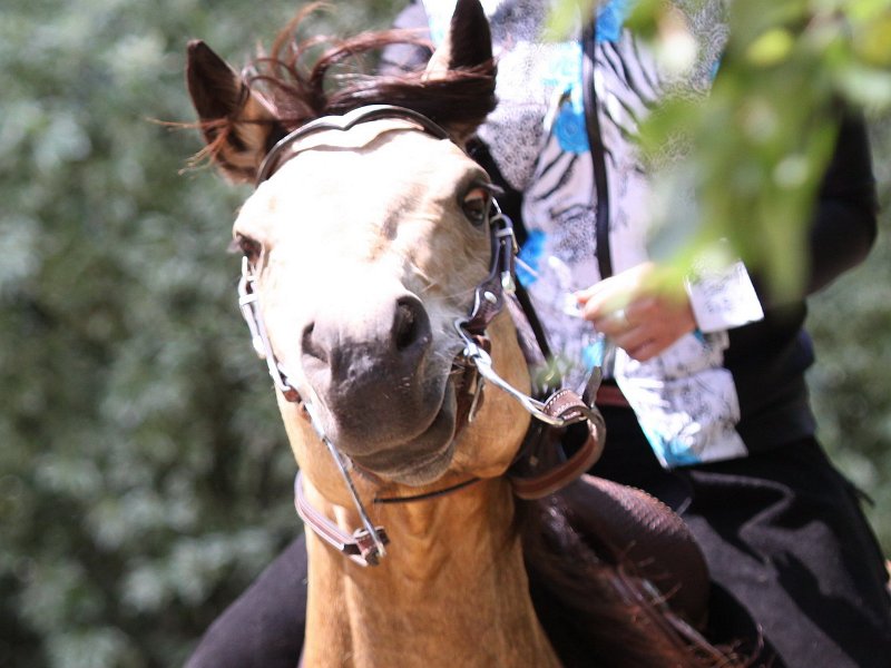 Thalmeierranch01072012 266