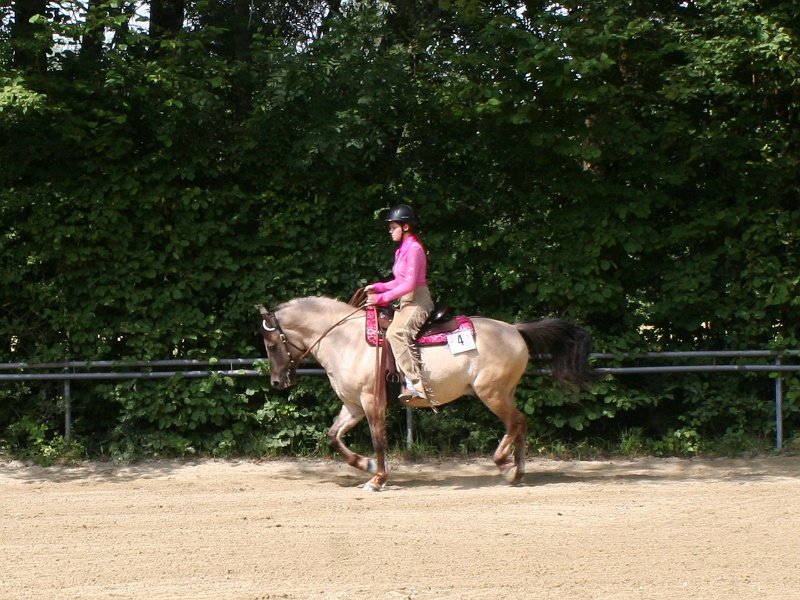 Thalmeierranch01072012 293