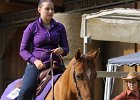 Thalmeierranch01072012 007