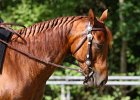 Thalmeierranch01072012 011