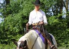 Thalmeierranch01072012 012