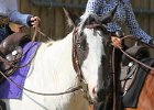 Thalmeierranch01072012 015