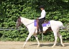 Thalmeierranch01072012 016