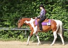 Thalmeierranch01072012 018