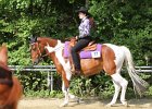 Thalmeierranch01072012 020