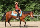 Thalmeierranch01072012 028