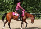 Thalmeierranch01072012 030