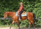 Thalmeierranch01072012 031