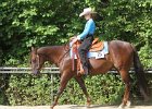 Thalmeierranch01072012 032