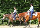 Thalmeierranch01072012 035