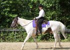 Thalmeierranch01072012 038