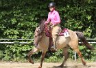 Thalmeierranch01072012 040