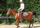 Thalmeierranch01072012 044