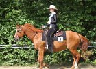 Thalmeierranch01072012 045