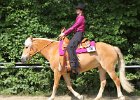 Thalmeierranch01072012 046