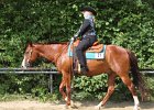 Thalmeierranch01072012 047