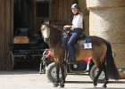 Thalmeierranch01072012 048