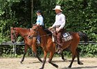 Thalmeierranch01072012 049