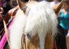 Thalmeierranch01072012 057