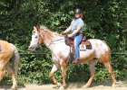 Thalmeierranch01072012 062