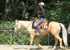 Thalmeierranch01072012 072