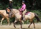 Thalmeierranch01072012 073