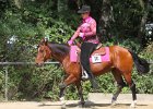 Thalmeierranch01072012 074