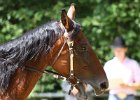 Thalmeierranch01072012 088