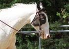 Thalmeierranch01072012 090